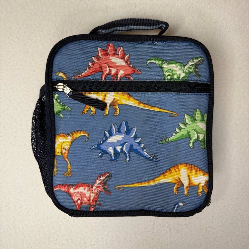 Pottery Barn Kids Boys Dinosaur Insulated Lunch Box